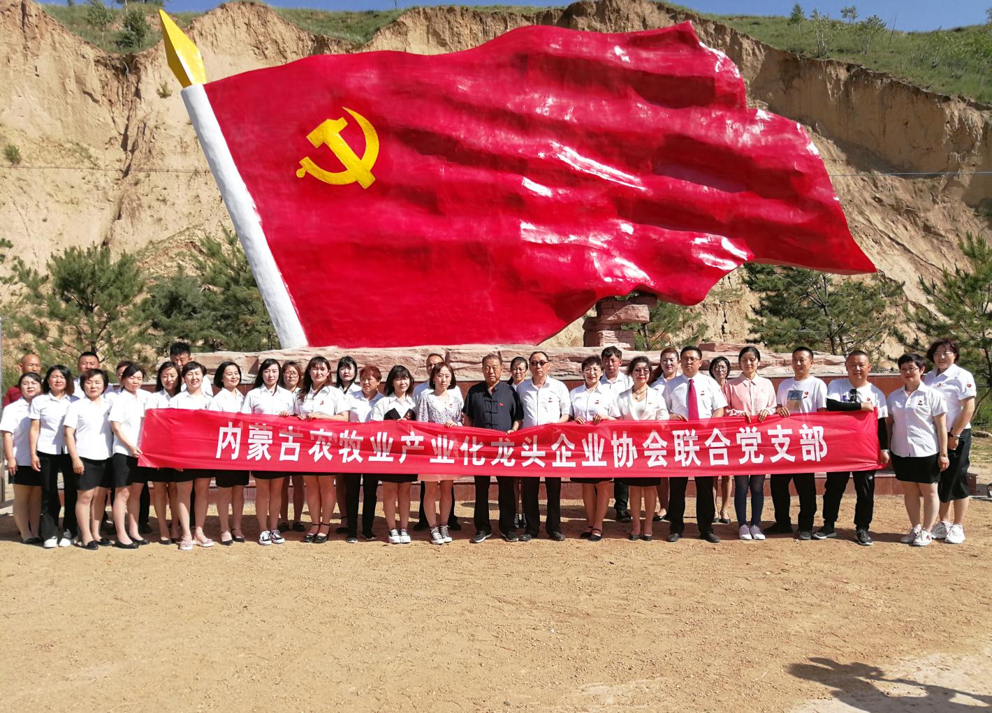 內蒙古農(nóng)牧業(yè)產(chǎn)業(yè)化龍頭企業(yè)協(xié)會走進石人灣村開展“辦實事、解難題，送溫暖，傳黨恩”公益活動